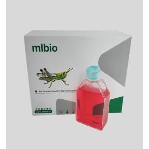 鴨胚肝間充質干細胞主圖