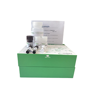 芳基酰胺酶活性測(cè)定試劑盒分光法/48樣主圖