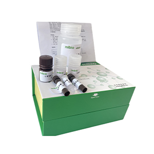 幾丁質外切酶試劑盒微板法/48樣主圖